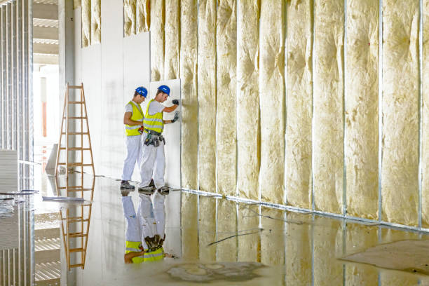 Best Insulation Materials and Products in The Pinehills, MA